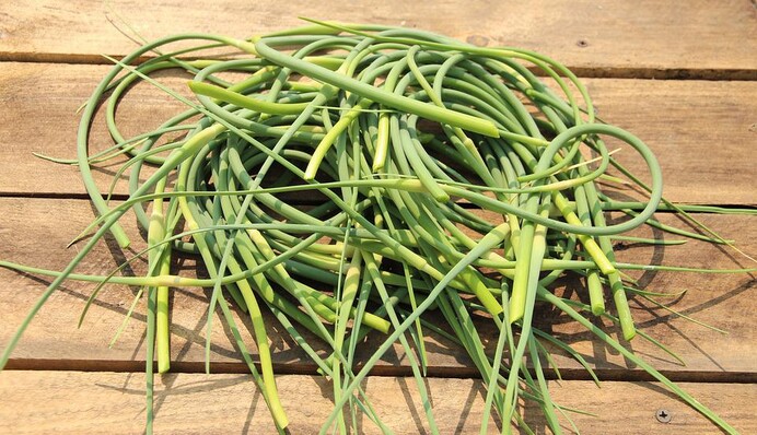 Как вкусно замариновать на зиму чесночные стрелки: простой рецепт с горчицей