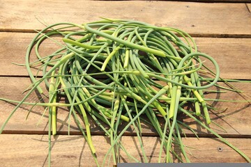 Как вкусно замариновать на зиму чесночные стрелки: простой рецепт с горчицей