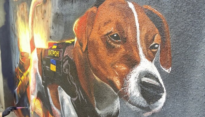 В Ужгороді з'явився мурал із псом Патроном - зображення чотирилапого сапера прикрашає стадіон