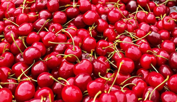 Як правильно заморожувати вишню, щоб зберегти вітаміни до зими: 10 порад