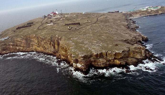 Добра воля чи ганебна втеча: чому росіяни втекли зі Зміїного