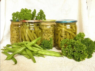 Как закрыть на зиму маринованную спаржевую фасоль: рецепт вкусной заготовки