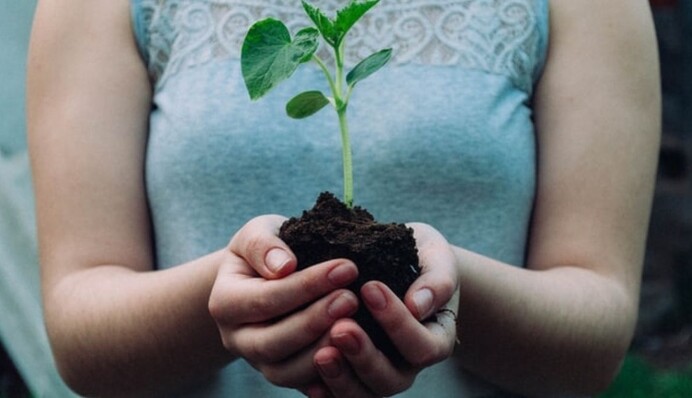 Какое время считают лучшим и худшим для полива: 5 советов огородникам