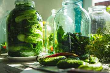 Как закрыть хрустящие маринованные огурцы с укропом и чесноком: популярный рецепт