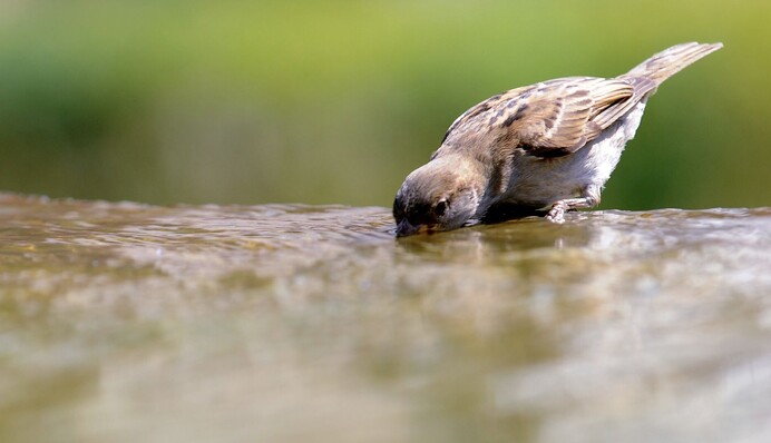 Спад жары и холодные ночи: чем порадует погода на неделю