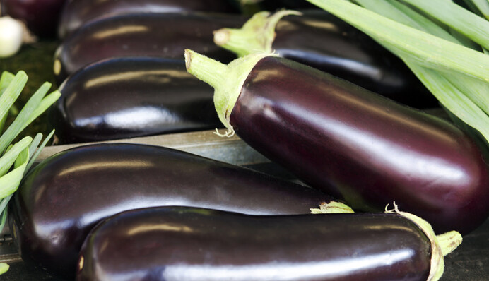 Как вкусно запечь баклажаны с сыром в томатном соусе: простой рецепт