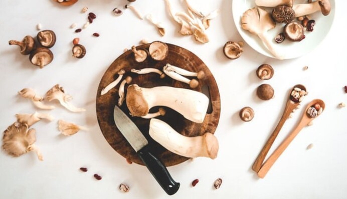 Какие грибы можно сушить на зиму и как это сделать: полезные советы