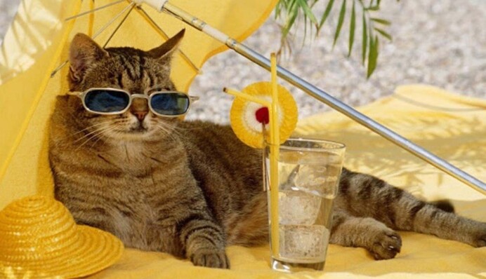 В Україну мчить пекельна спека +35: кому не пощастить з погодою