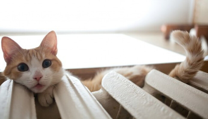 Хочешь тепло – сделай сам: как Киев готовится к зиме