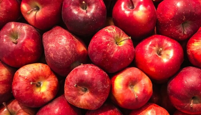 Як і де зберігати свіжі яблука, щоб не зіпсувалися до весни: поради та лайфхаки