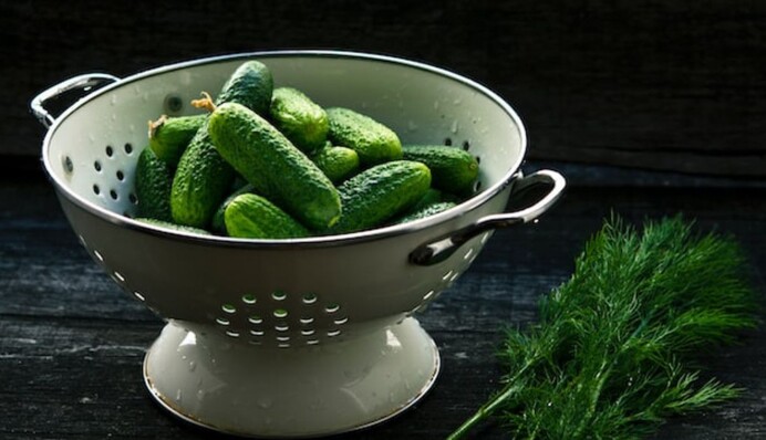 Як зберігати огірки, щоб довше залишалися свіжими: поради та лайфхаки