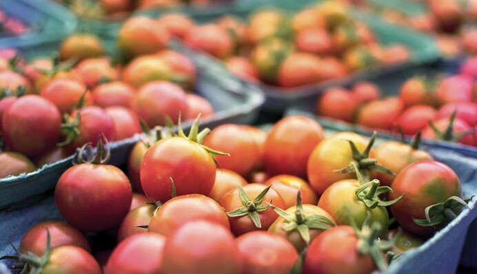 Как и где хранить зеленые помидоры, чтобы они быстрее покраснели