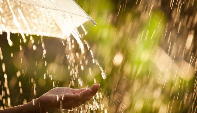Багато дощів, мало сонця: яка погода буде в Україні у вихідні
