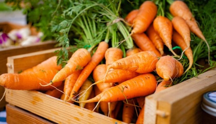 Чому тріскається морква і як зберегти врожай до весни: корисні поради
