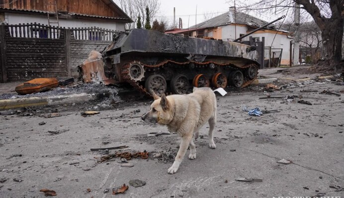 Капкан для русского медведя:  главные итоги шести месяцев войны