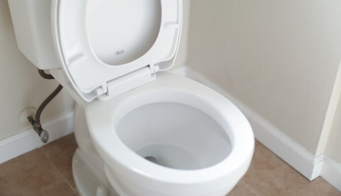 Когда хлорка не работает. Самодельное средство для удаления налета в унитазе только из 2 ингредиентов