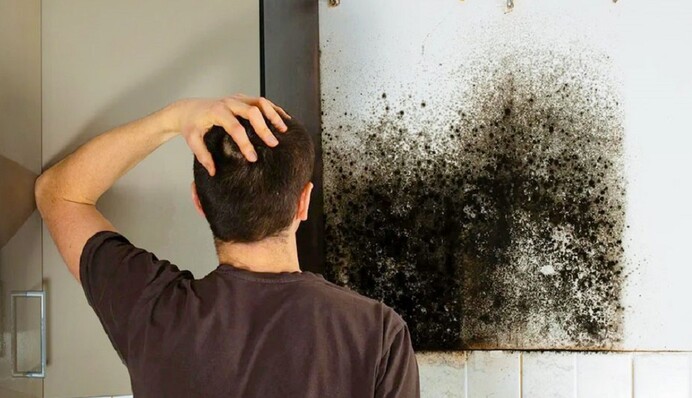 Як зробити засіб від цвілі своїми руками і позбутися грибка на стінах