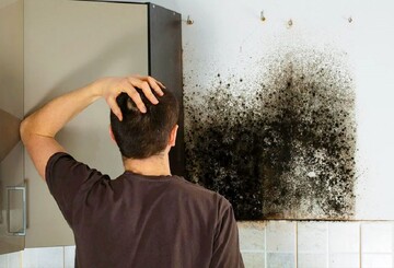 Як зробити засіб від цвілі своїми руками і позбутися грибка на стінах