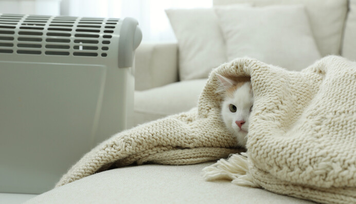 Какие есть обогреватели для дома и чем они отличаются: преимущества и недостатки