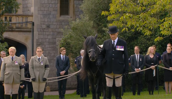 Любимая пони королевы Елизаветы ІІ простилась со своей хозяйкой: трогательное фото