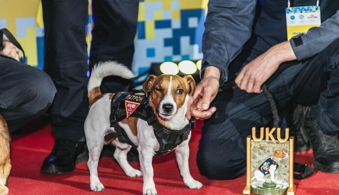 Четырехлапый защитник. Пес-сапер Патрон похвастался новой наградой