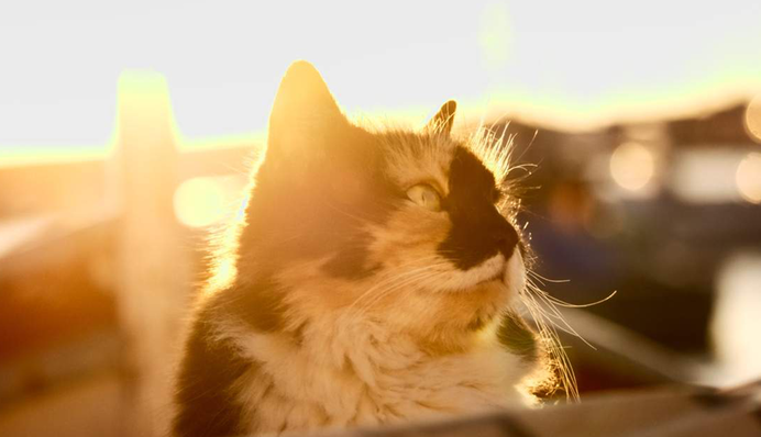 Можно даже загорать: в Украине резко изменится погода, но не везде