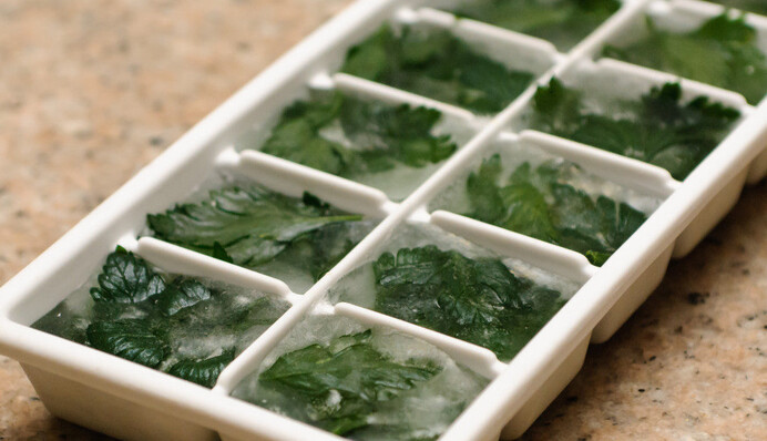 Як заготовити петрушку на зиму, щоб була як свіжа: топ-5 способів