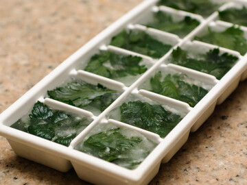 Как заготовить петрушку на зиму, чтобы была как свежая: топ-5 способов