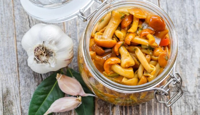 Як засолити опеньки на зиму: простий рецепт та поради для довгого зберігання