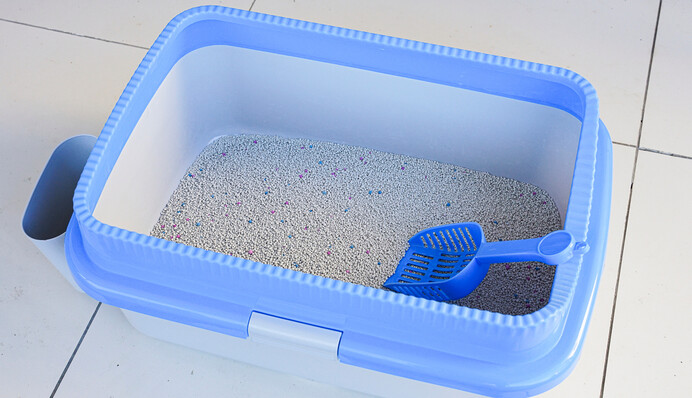 Чем помыть кошачий туалет, чтобы не было запаха: простые и эффективные средства