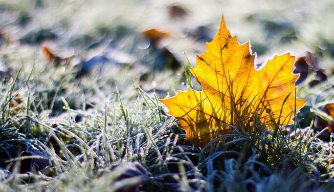 В Україні різко зміниться погода: прогноз до кінця тижня