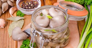 Будуть готові за 4 години. Рецепт маринованих глив швидкого приготування