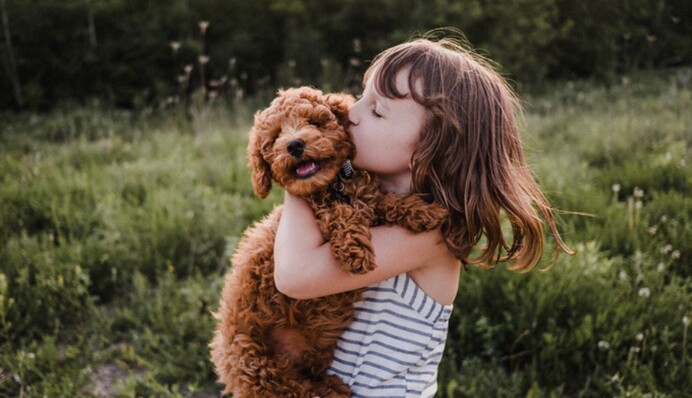 Як допомогти дитині пережити смерть домашнього улюбленця: психологічні поради
