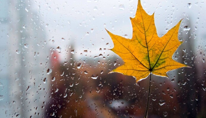 Дощі та тепло: синоптики розповіли про погоду на тиждень