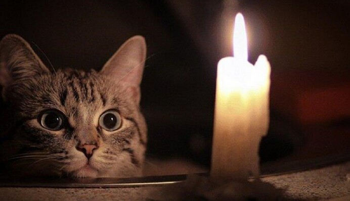 Книги, прогулки, разговоры при свечах и интим: что киевляне делают, когда нет света