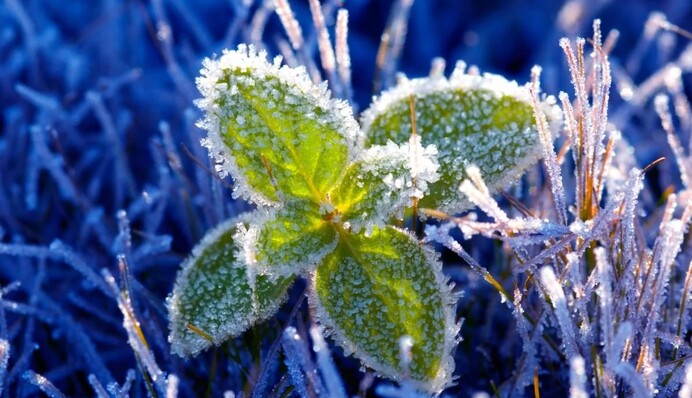 Ноябрь несет резкое похолодание: прогноз на первую неделю месяца