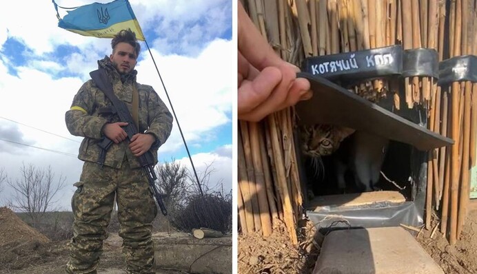 Защитник Украины сделал КПП для котов и растрогал соцсети: видео