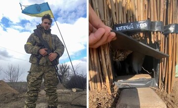 Захисник України зробив КПП для котів та розчулив соцмережі: відео