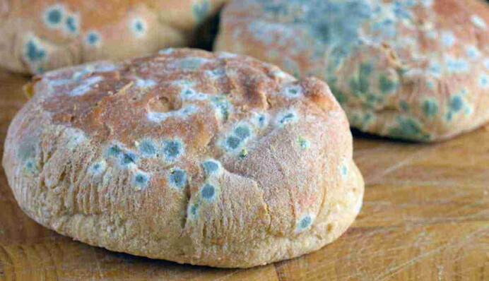 Як захистити хліб від цвілі без холодильника: топ-3 лайфхака