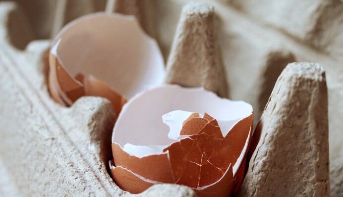 Чому не варто викидати яєчну шкарлупу: лайфхак розумних господарів