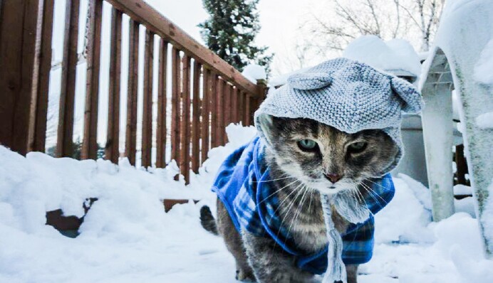 Весна, не уходи: какая погода будет на ближайшую неделю