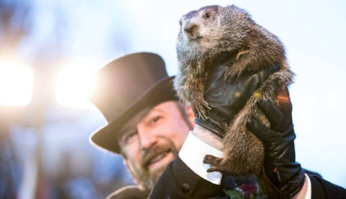 Як у День Бабака передбачають прихід весни: історія і традиції