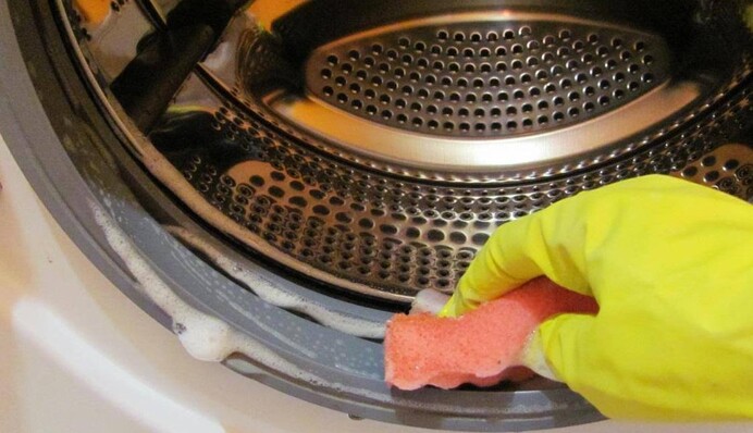 Як позбутися чорної плісняви на гумовому ущільнювачі пральної машини