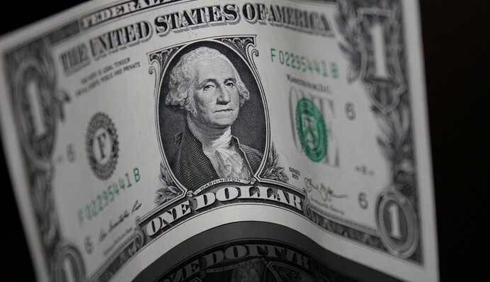 Гривня квітне навесні: яким буде валютний курс