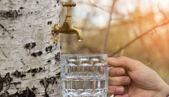 Украинская 