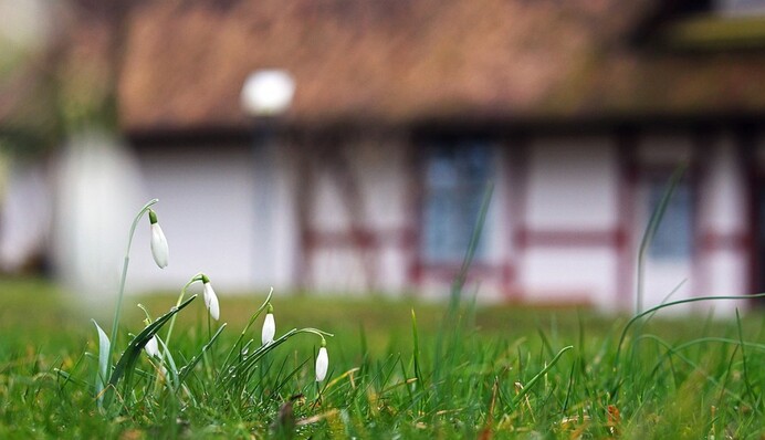 Благовещение покажет, каким будет урожай: народные приметы церковного праздника