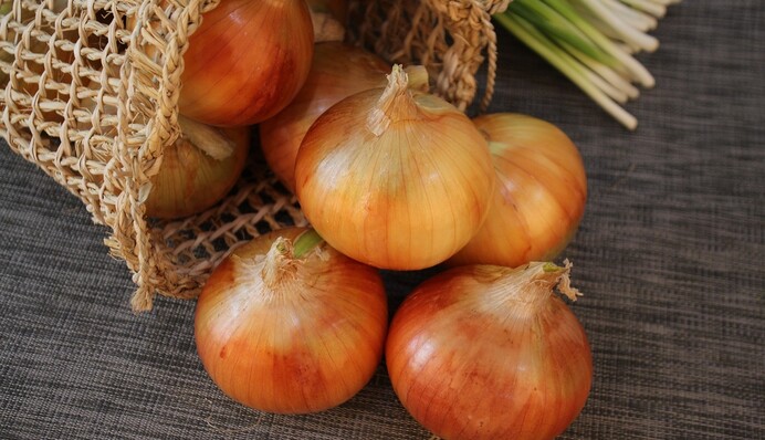 Рассада отблагодарит урожаем: как подкормить сеянцы луковой шелухой