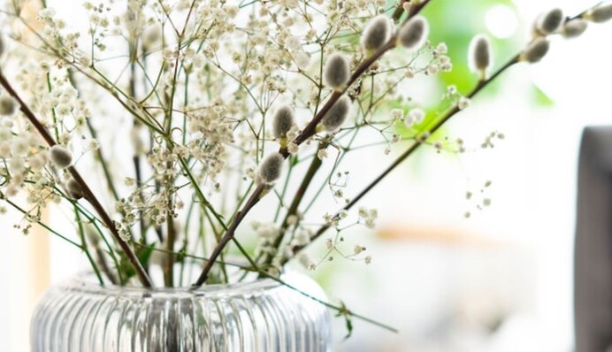 Не я б'ю - верба б'є: які властивості приписують вербовим гілочкам на Вербну неділю