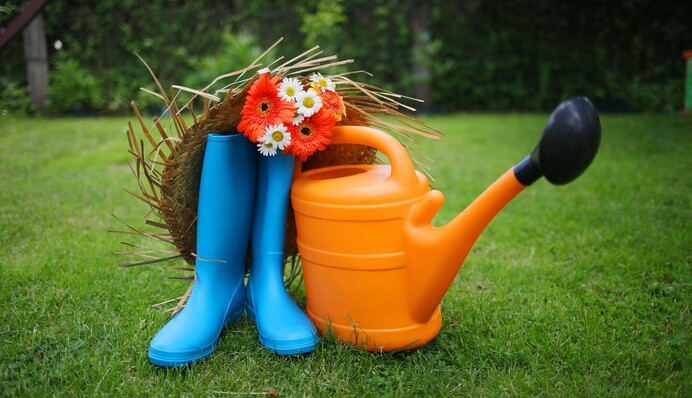 Як правильно підживлювати рослини на городі, щоб не зіпсувати врожай: 10 правил