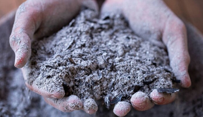 Пепел – хорошее удобрение, но подходит не для всего: какие растения нельзя им подкармливать